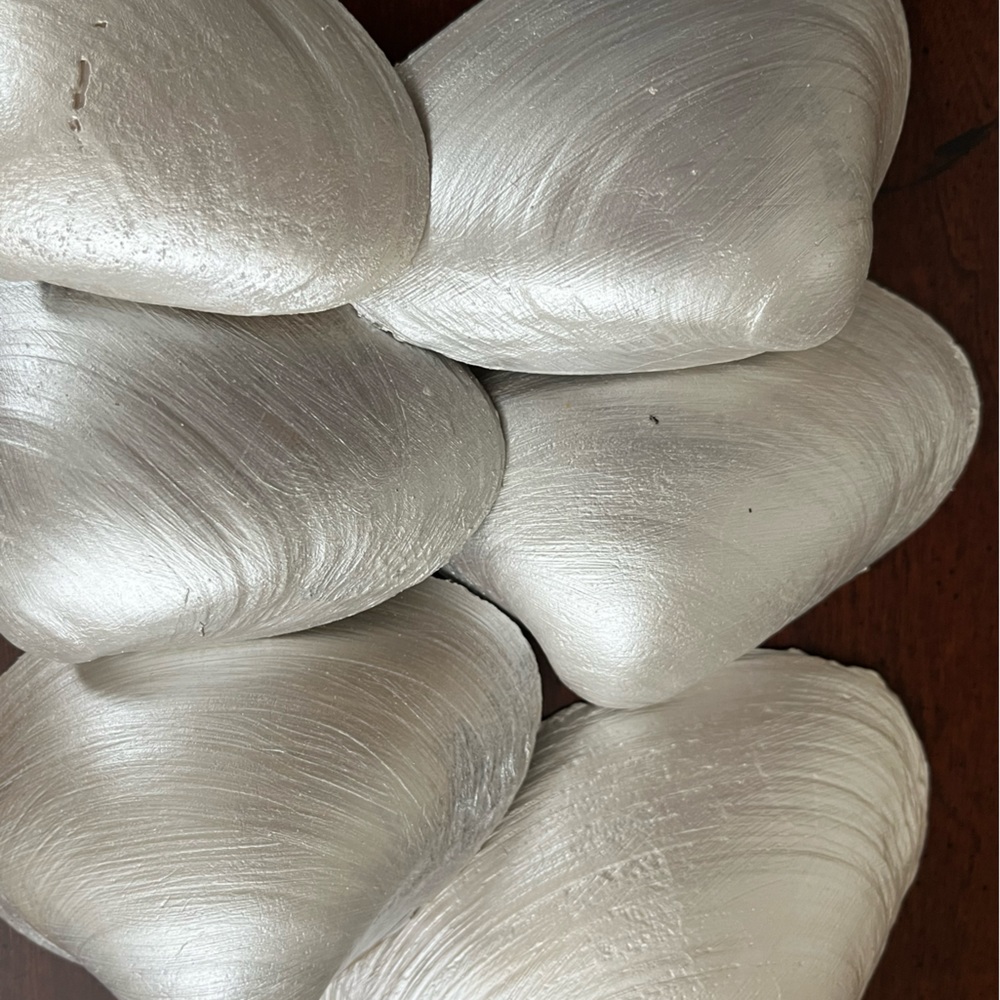 🌻6-Pearl painted shells - Picture 10 of 14